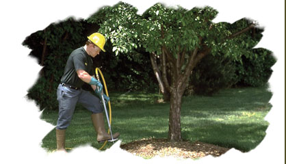 Grand Rapids Stump Grinding, LLC