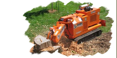 Grand Rapids Stump Grinding, LLC